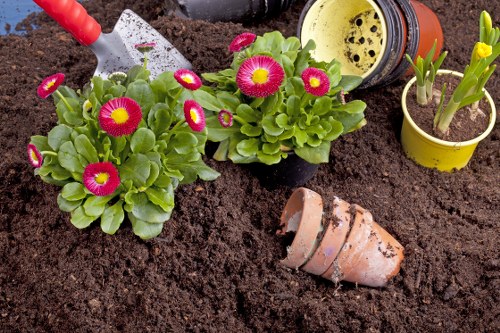 Soft landscaping project with planting beds and turfing in Waterloo