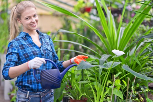 Local garden design and build project in Waterloo with paving and planting