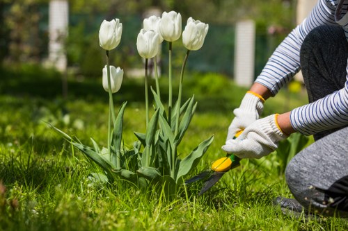 Client raising a landscaping complaint for review