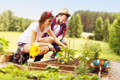 Garden makeover planning for a Waterloo home with mixed planting and seating