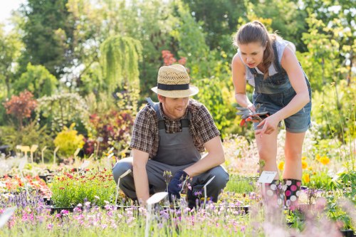 Landscaping Waterloo team reviewing ethical labor compliance documentation