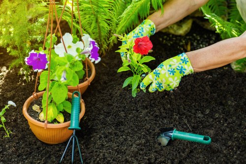 Landscaping team working safely on a residential outdoor project