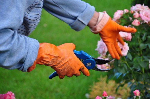 Discussing a landscaping issue and possible resolution
