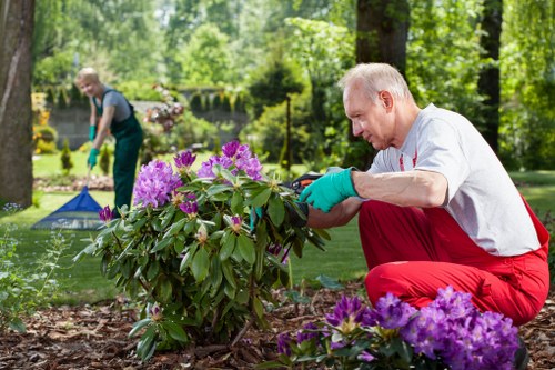 Reviewing a landscaping service concern with project notes