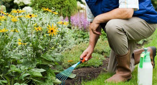 Low-maintenance garden design suitable for Waterloo terraces and townhouses