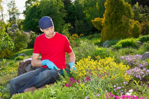 Low-maintenance landscaping Waterloo yard with structured planting and clean edges