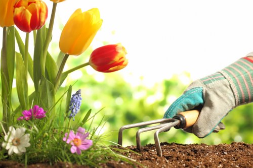 Updated cookie policy information for Landscaping Waterloo