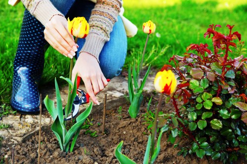 Energy-efficient exterior lighting for a Waterloo home garden and walkway