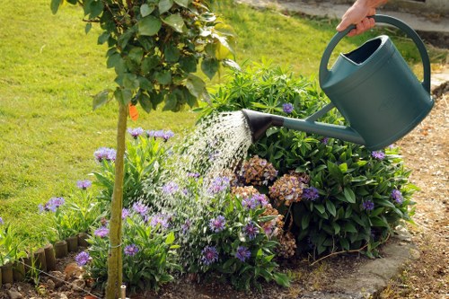 Free landscaping quote review for a Waterloo home with narrow access