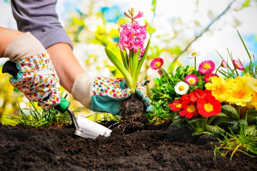 Seasonal landscaping Waterloo property with trees, shrubs, and polished outdoor design