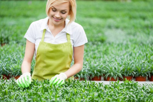 Residential garden landscaping in Waterloo with turf, borders, and patio area