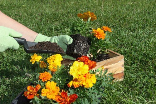 Recycling and sustainability practices for Waterloo landscaping projects